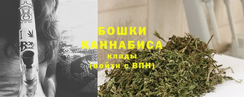 Каннабис White Widow  Карабаново 